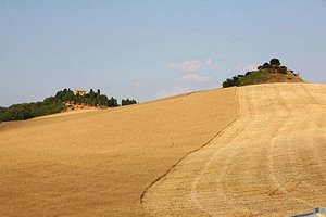 Colonica Siena