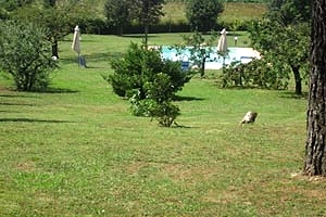 Villa Collodi