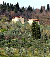 Ferme I Casali