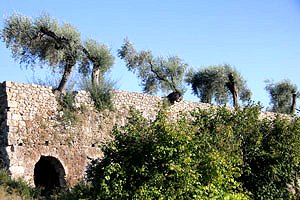 Castillo Maremma