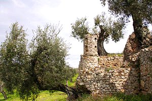 Castillo Maremma