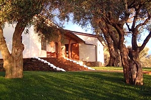 Villa Cinquale