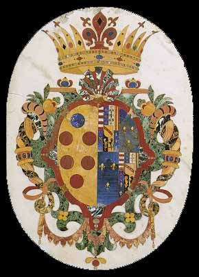 Medici Shield