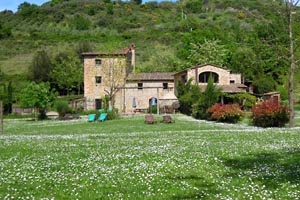 Casa rural Montaione