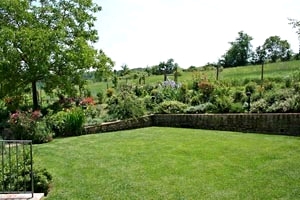 Villa Chianti Pool