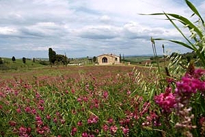 Casa rural Montisi