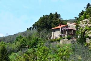 Casa rural Castelfranco