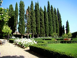 Villa Barberino