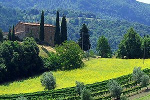 Casa rural Cecina