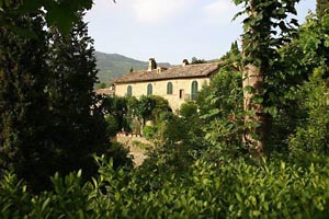 Casale Cortona