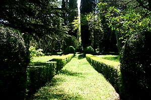 Castle Montepulciano