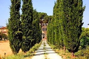 Villa Cipressi