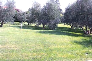 Villa Fibbiana