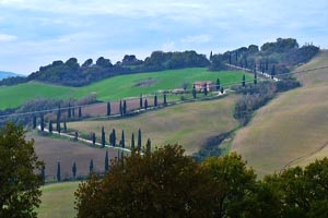 Ferme San Filippo