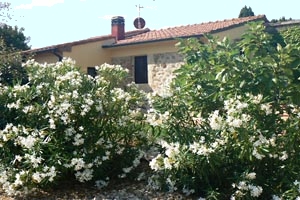 Casa rural Monteverdi