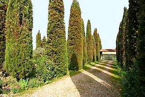 Villa Stefania