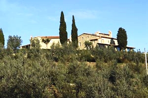 Villa Igor