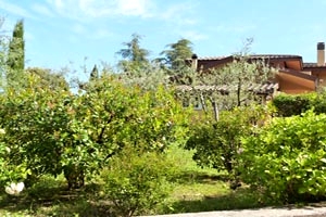 Villa Lorenzo