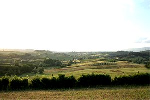 Villa la Massa